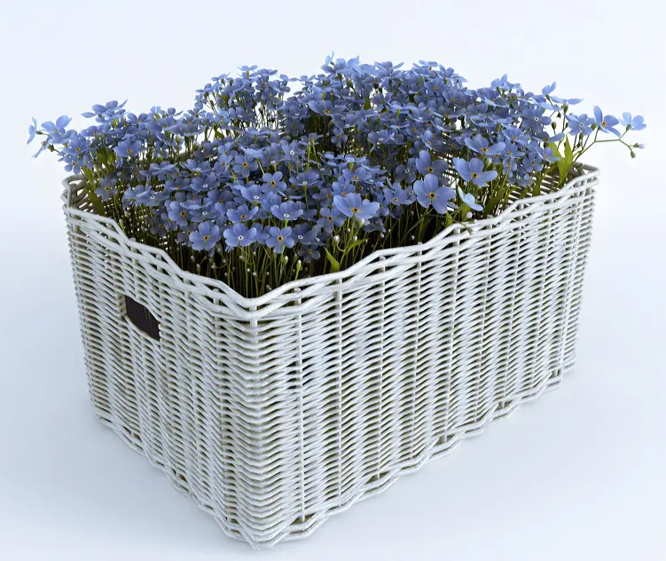 Basket with forget me