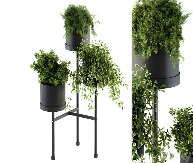 Black Box Plants on stand