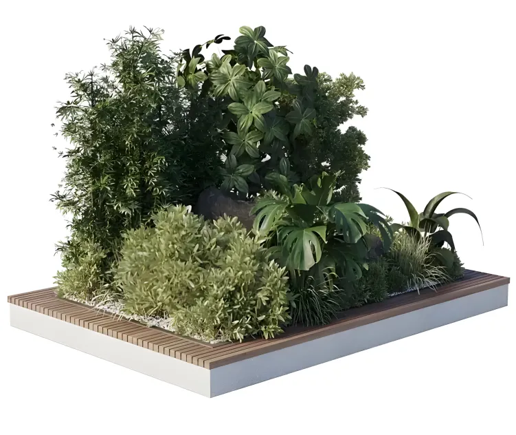 Collection outdoor indoor pot plant
