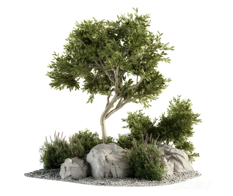 Garden tree bush garden set