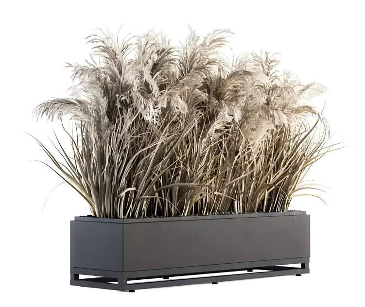Indoor plant dried plant box