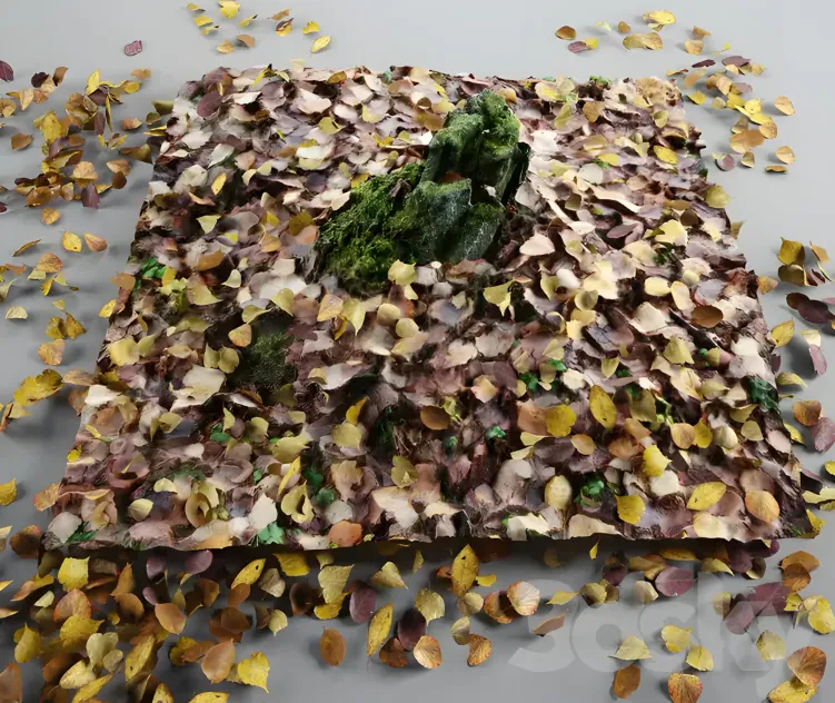 Old stump