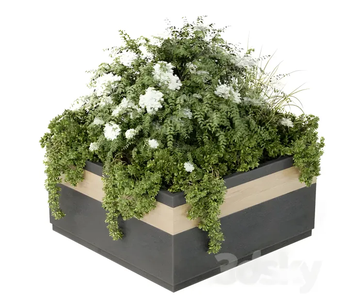 Outdoor plant