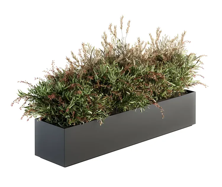 Outdoor plant plant box bush