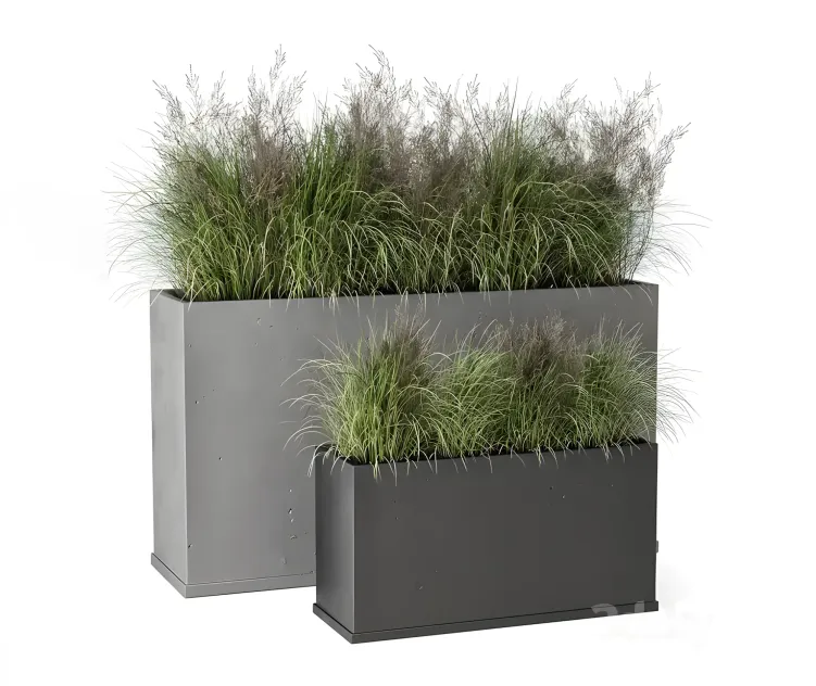 Outdoor plants bush in rusty concrete pot