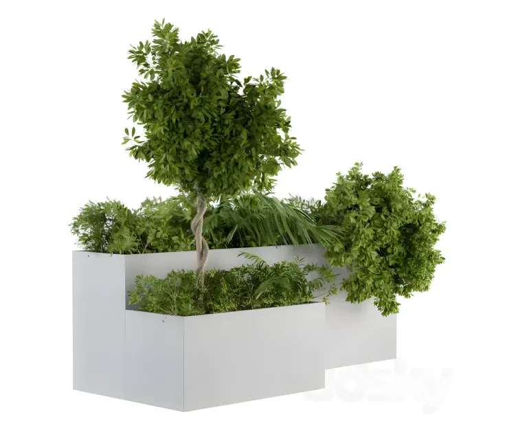 Outdoor plants concrete box