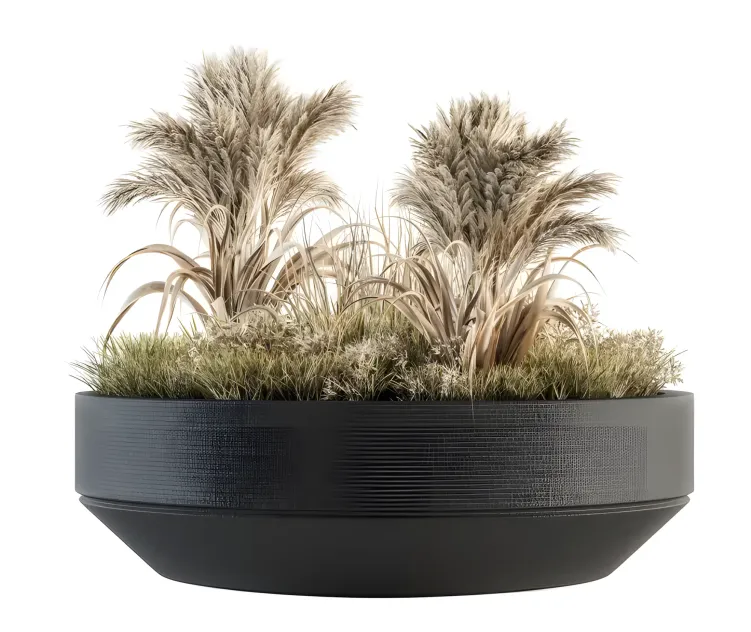 Outdoor plants tree in concrete pot 4