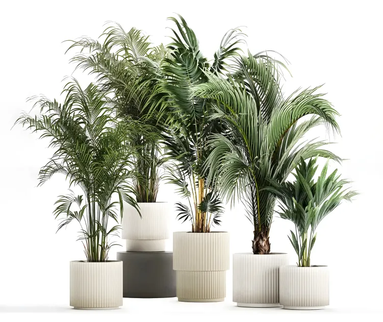 Plant collection