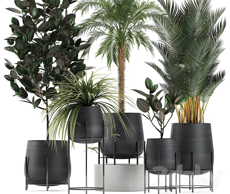 Plant collection