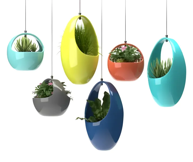 Plants