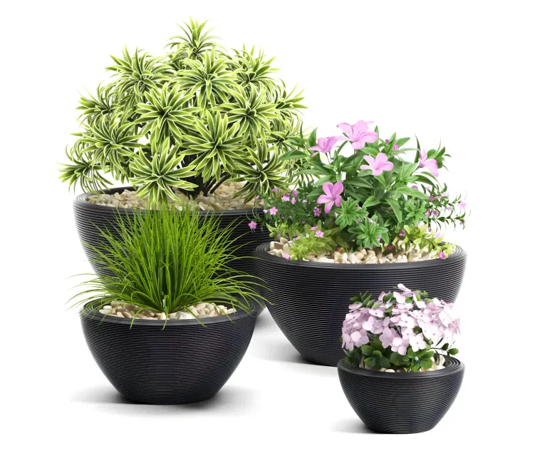 Plants 2
