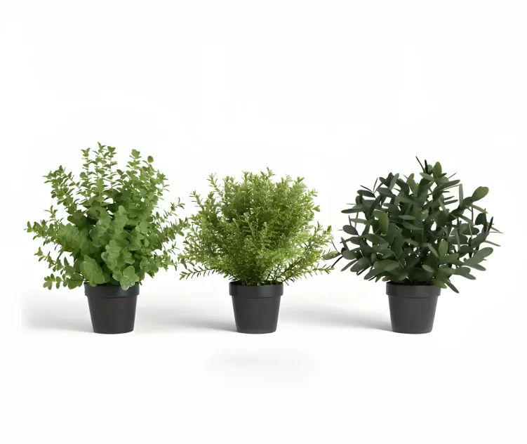 Plants 2