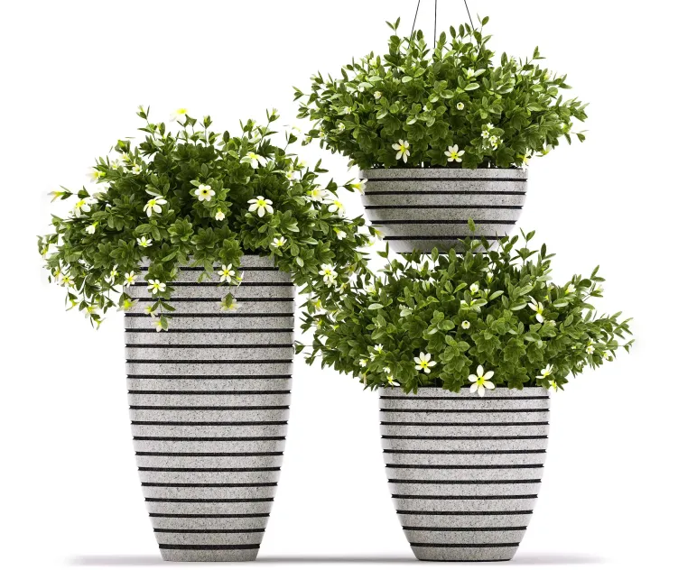 Plants 3
