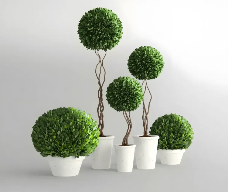 Plants collection