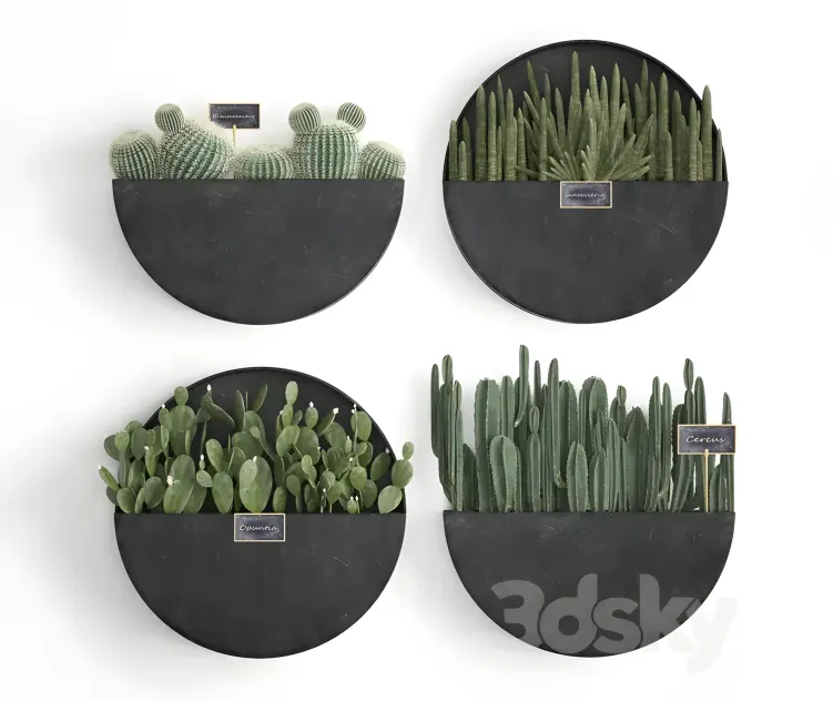 Vertical gardening