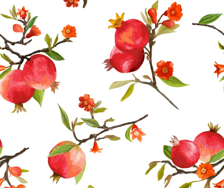 Pomegranate Tropical Background