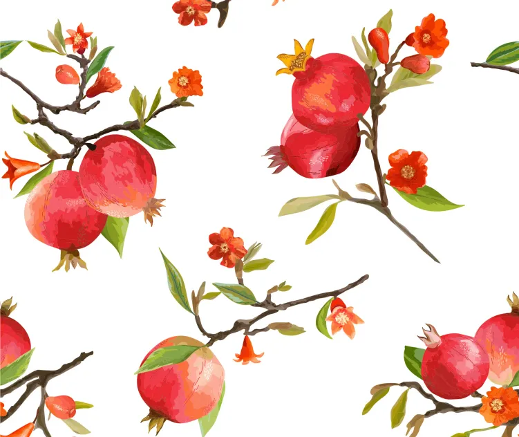 Pomegranate Tropical Background 2
