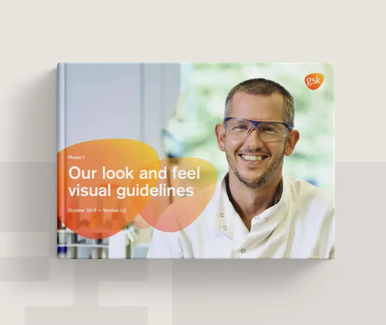 Gsk 2013