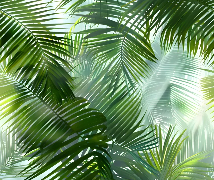 Jungle 273