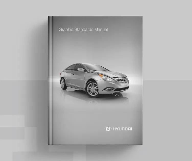 Hyundai 2011