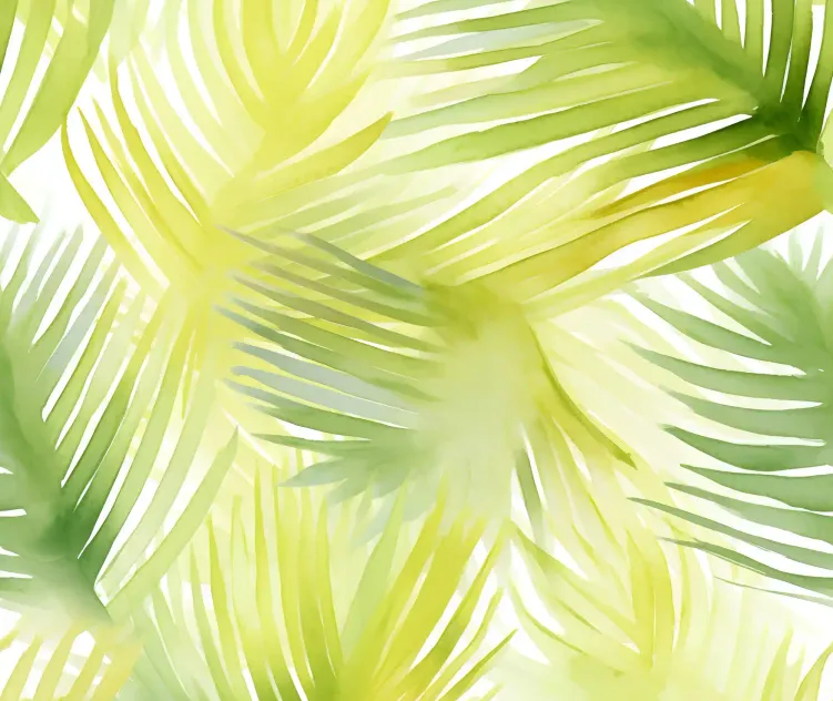 Summer Shape 361