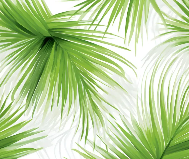 Summer Shape 399