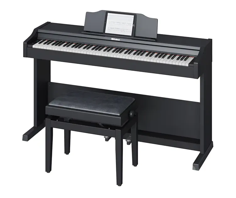 Roland RP 102