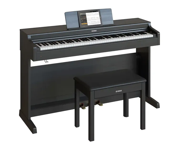 Ymaha ydp164