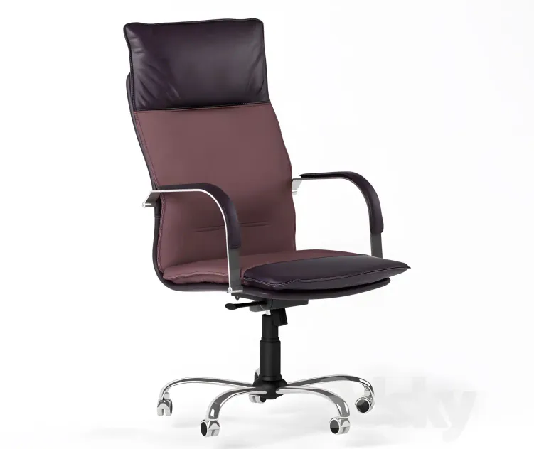 Chair of berlin