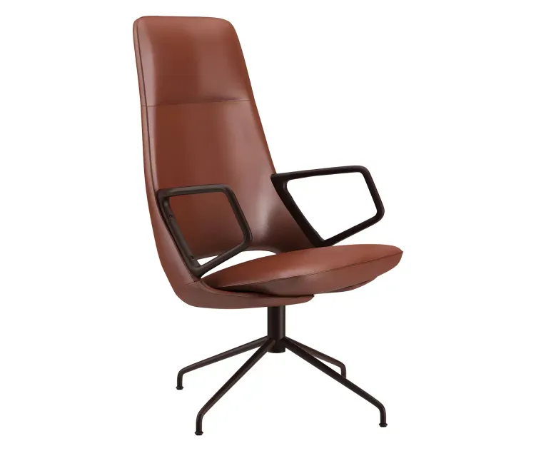 Zuma armchair legged by artifort