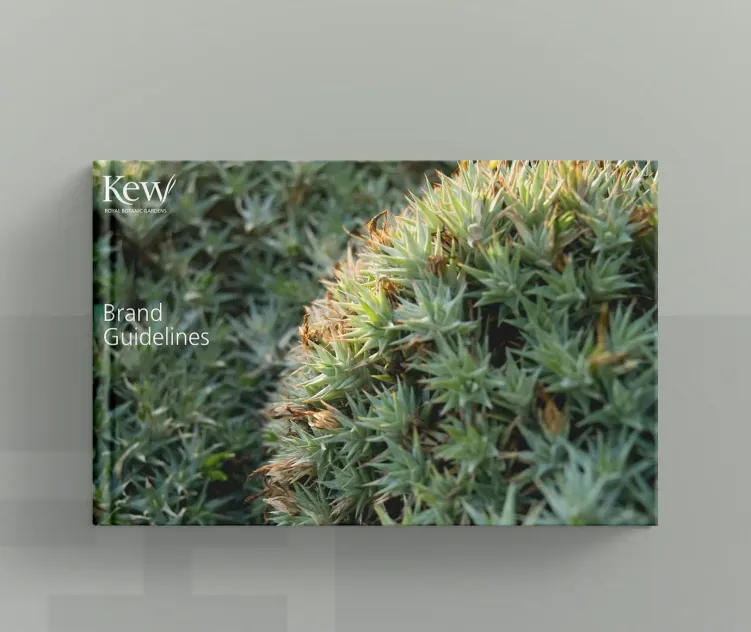 Kew 2012