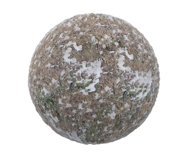 Frozen grass with snow 5
