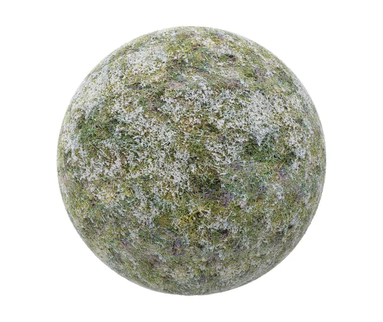 Grass with little snow
