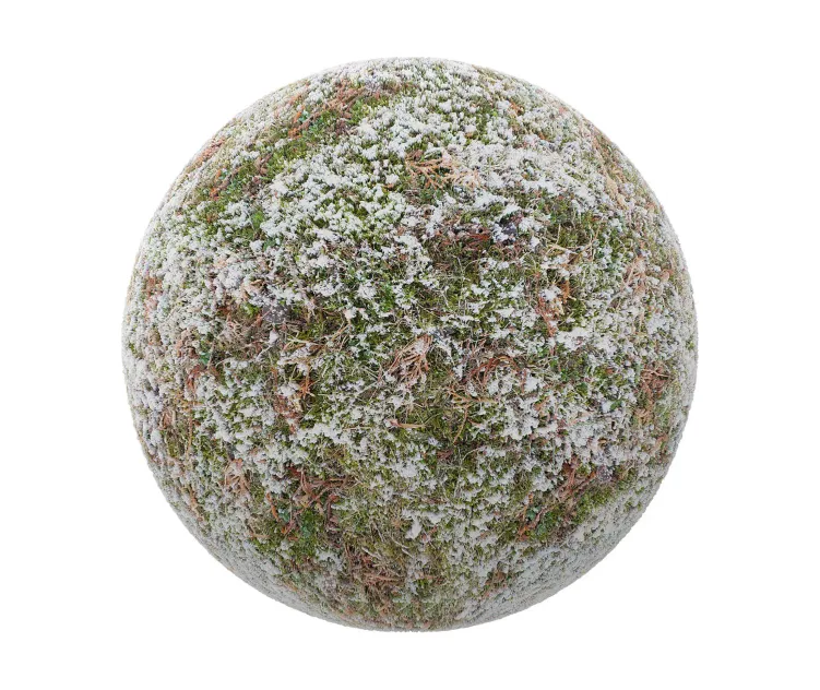 Grass with little snow 2