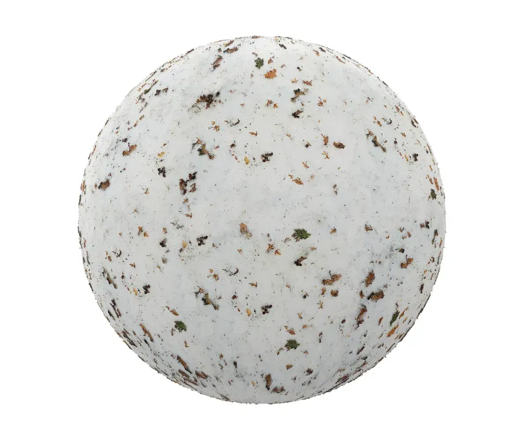 Snow with dry leaves 2