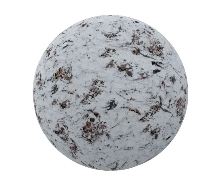 Snow with forest litter 2
