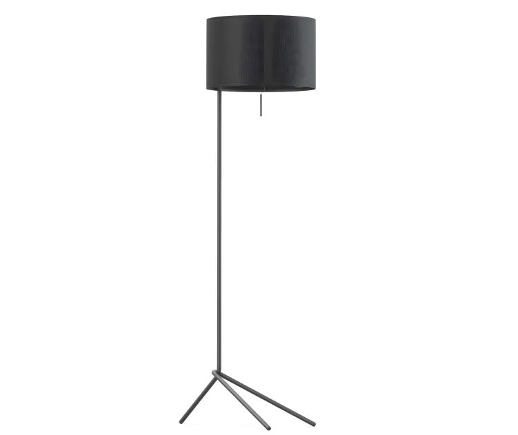 Black floor lamp 2