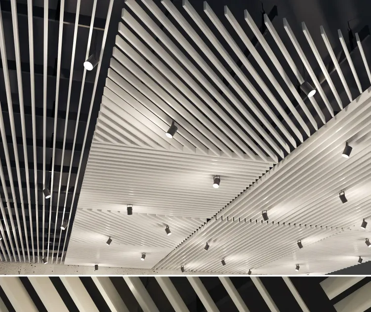 False ceiling rack