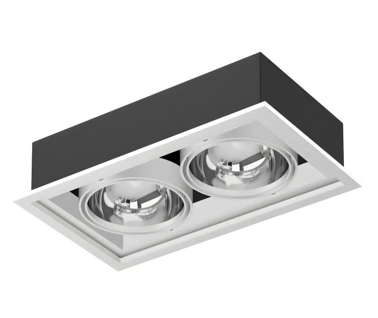 Models double ceiling light
