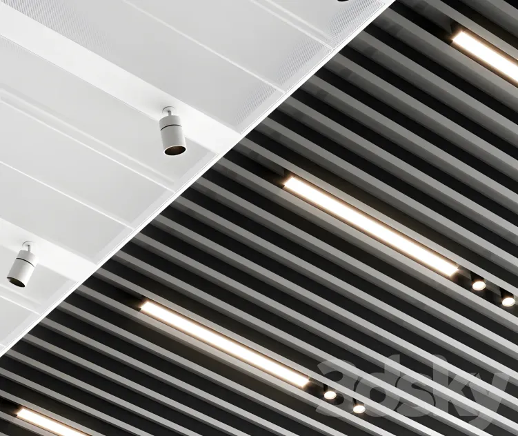 Suspended ceiling sas international