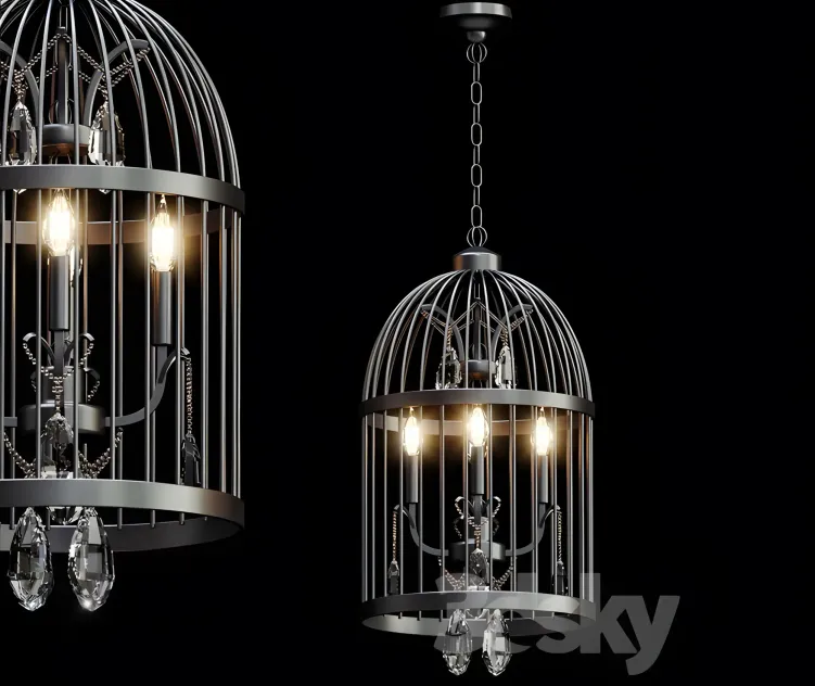 Beautiful bird cage chandelier