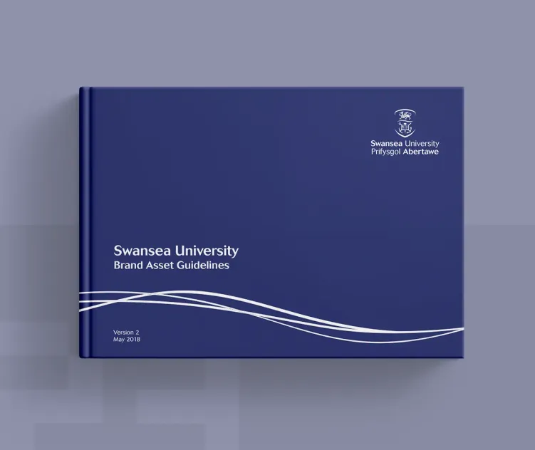 Swansea University