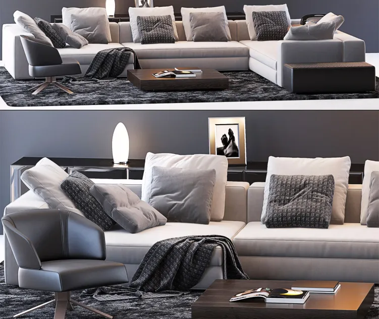 Minotti sofa