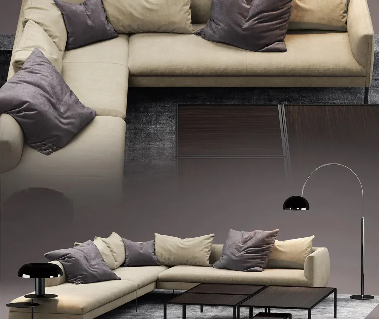 Molteni sofa paul