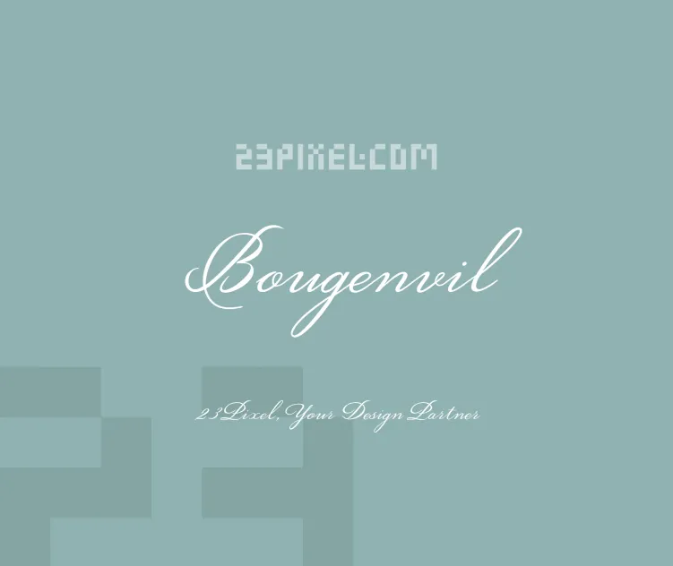 Bougenvil