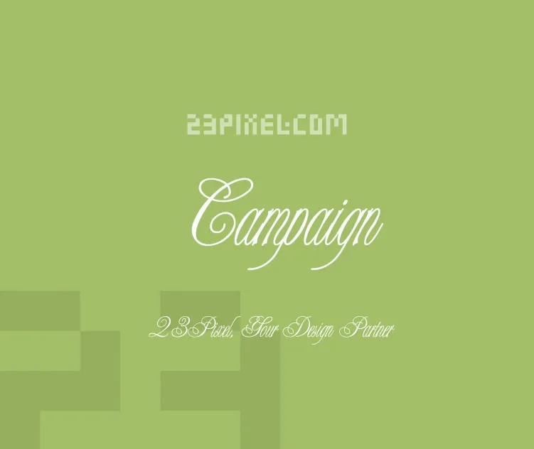 Campaign