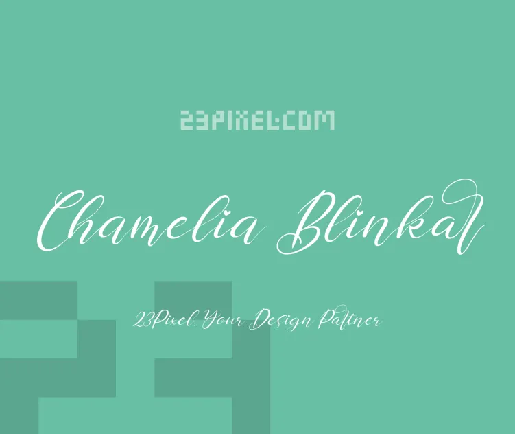 Chamelia Blinkar