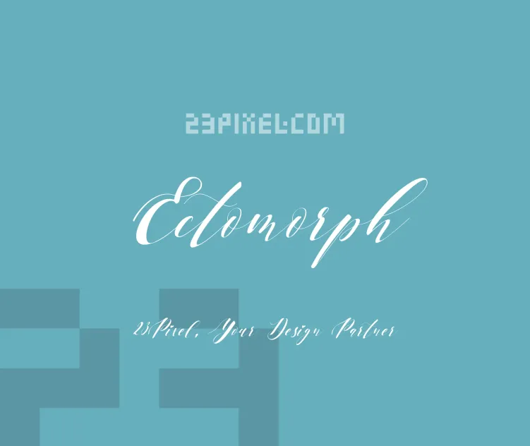 Ectomorph