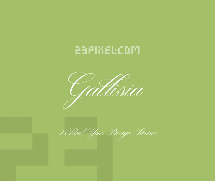 Gallisia Script