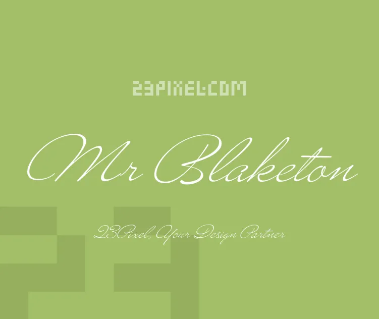 Mr Blaketon